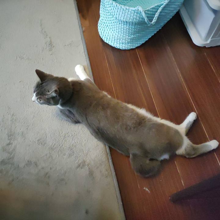 De054dec 2563 442f a186 3e8ff9f0dd52 1657676725199