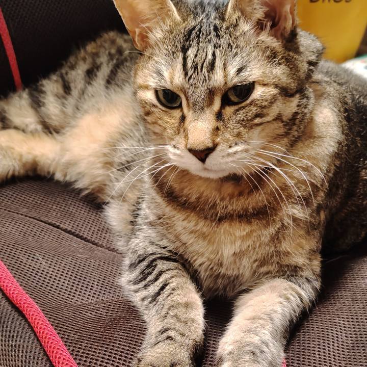 De05568d fb9d 45bf b281 1d5f259bd8b2 1764763321029