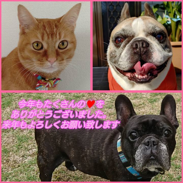 De057bf5 64f8 4c1a ae0a 4386478c04ec 1767161376128