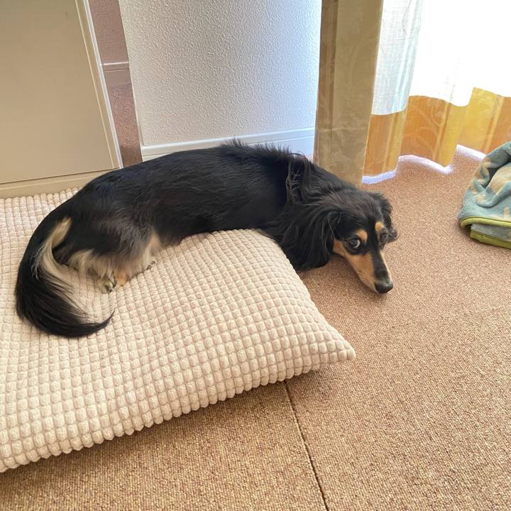 De05ba36 467b 4957 909d 31e08e1b8f68 1760062120115