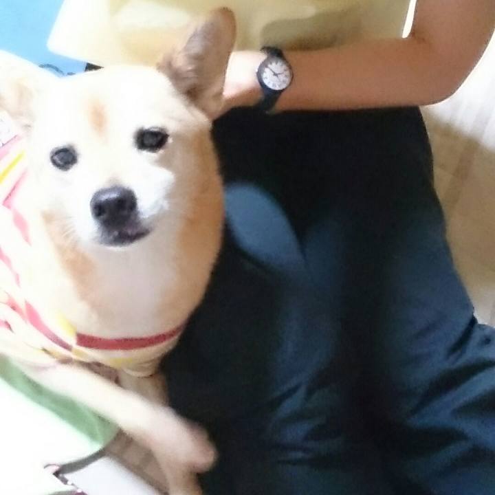 De05e817 367c 4461 9dcc 815ba597322d 1523878162059