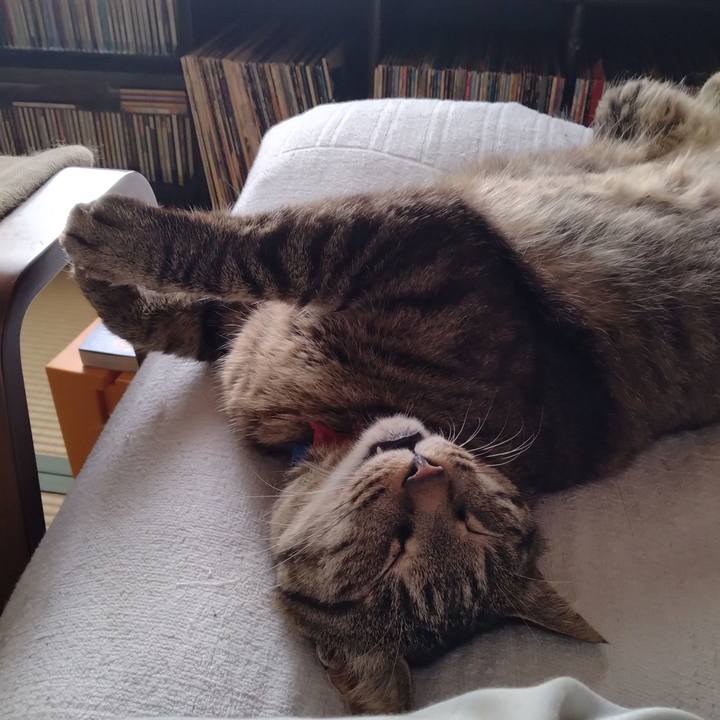 De060429 6d4e 455b 81e3 9ab7dd8f468e 1687846033739