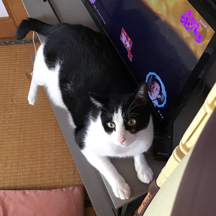 De064602 1b12 460b b364 456a924932b8 1693656123392