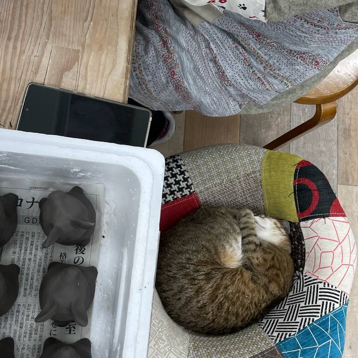 De066d01 6f76 40d4 8057 2b42fa93ced1 1671060181071