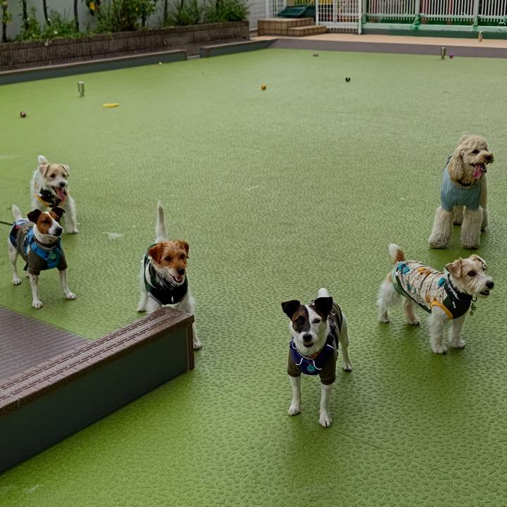 De067568 362e 4aef 8dfd 27fba070f5a2 1620730261741