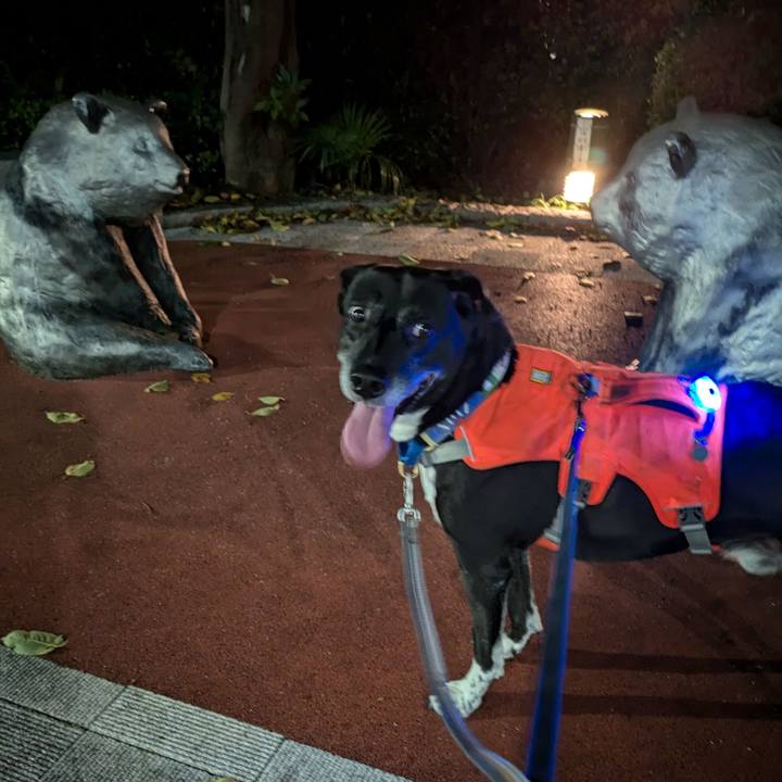 De071cef de9b 49a4 8a64 941a3db08758 1724583538997