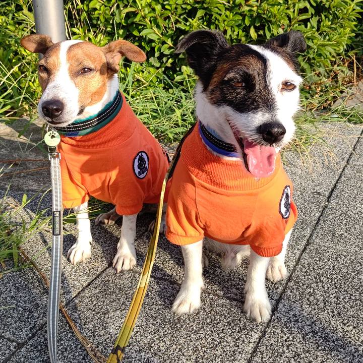 De072179 5431 475f 9e28 b1b3bd50bcb0 1689888302238