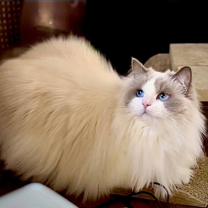 De073c94 d2f4 44e9 a838 f8ff61baac01 1646661520178