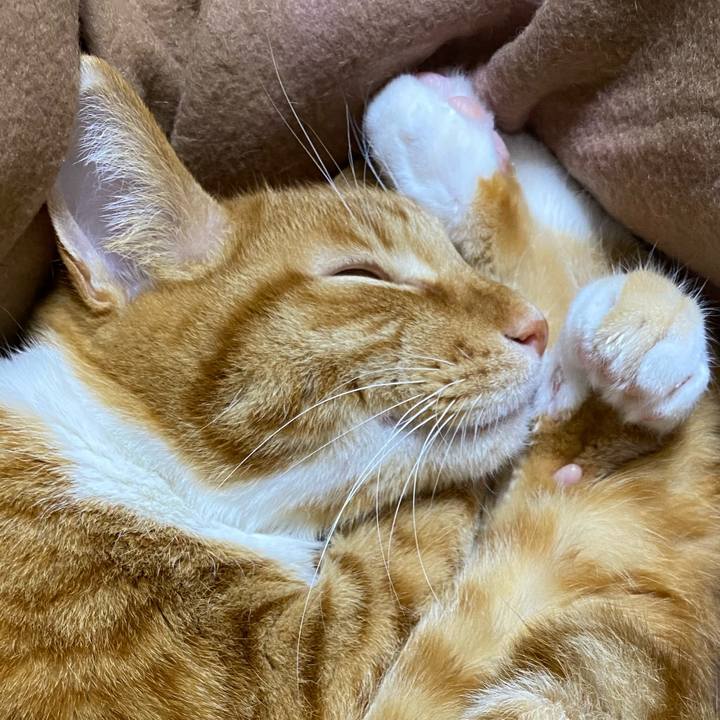 De075c42 c873 4966 ae93 5299142b018f 1611306019787