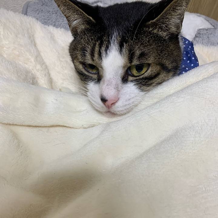 De07a4bd 1062 484b ac8a 63bc809b8599 1642985940884