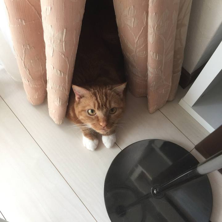 De07ff88 9614 484d 8218 1e949d1dfa0b 1592709021571