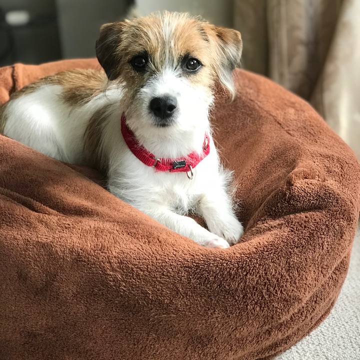 De081bd3 1cf9 4b63 83a6 1727afee0669 1760614898908