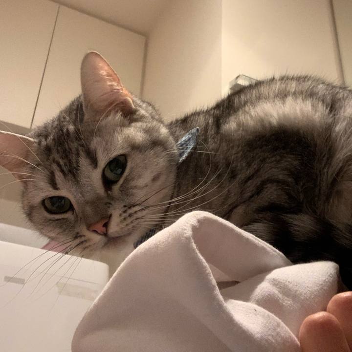 De08babd d05e 4b6e 8004 4dccf5573c11 1574034556828