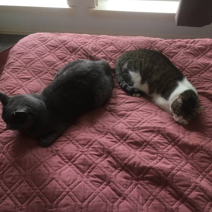 De0925c7 6bbc 426d 8e9b 1267b509ce0b 1652144094565