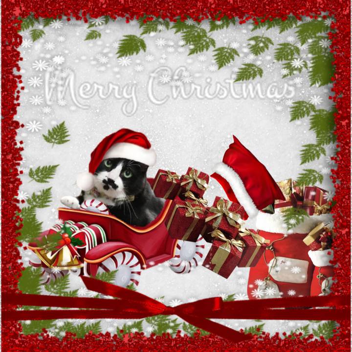 De0932ac 4a35 4245 8ea8 3d297f186b3f 1702409511544