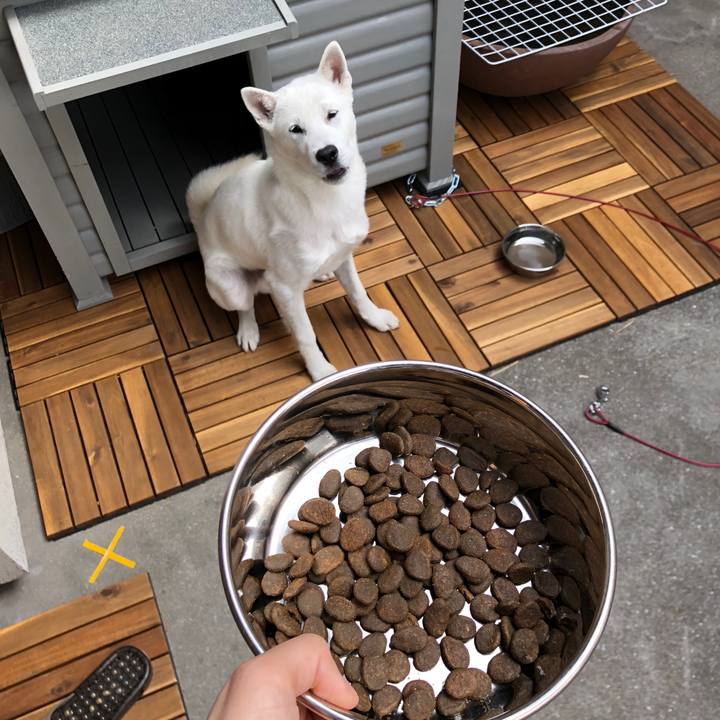 De094260 1bbe 4cc1 bb77 5fa1241ea34f 1519359358684