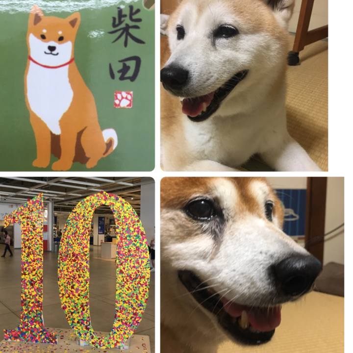 De094374 a80b 4ce6 afde b41e6a064ca1 1534247580009