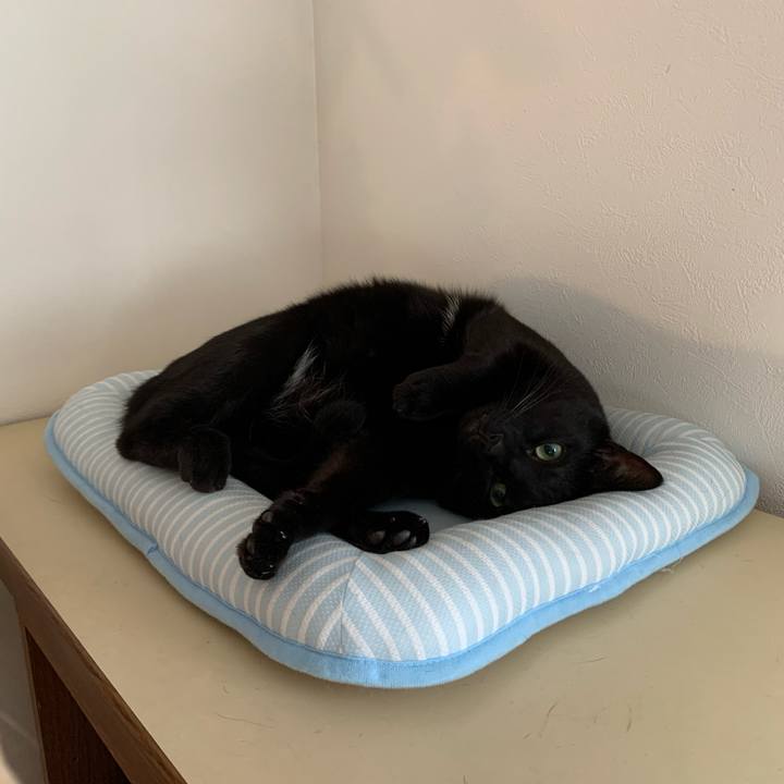 De09a23a 77e5 4824 a07f 478a7fe5c1ae 1574984602047