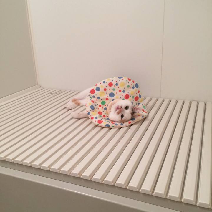 De09ce75 4cea 4071 9891 884ca118a83f 1508989573954