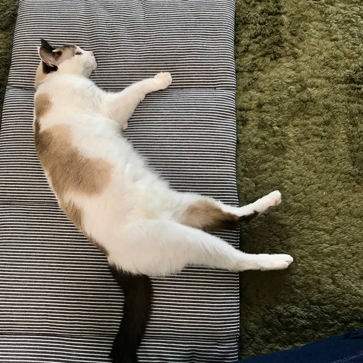 De09e1a4 cea2 407b b2a8 a14629300172 1600328190240