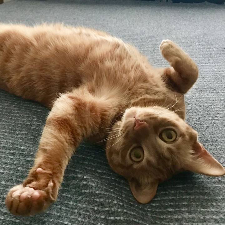 De0a1965 2f1c 448e 97ab 62e662a2e517 1615200241871