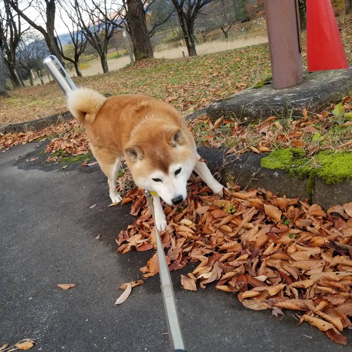 De0a1a1a 8bce 48f5 81e5 136dd73f31cf 1668409325103