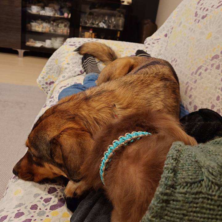 De0a1b3d 94eb 4a4c a993 e805d57e69ec 1738583065798