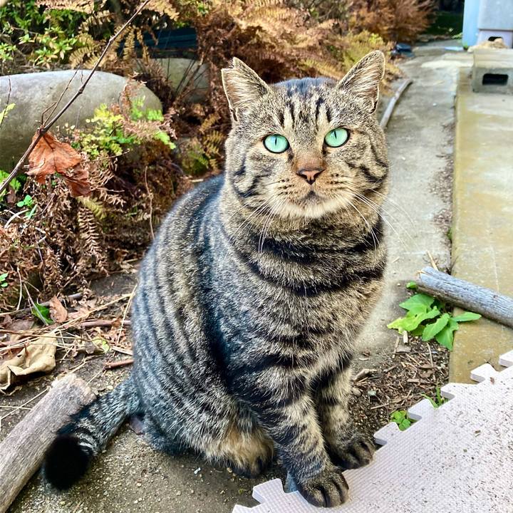 De0a1baa 99b0 477d 84a5 5ba64008fff5 1639552943977