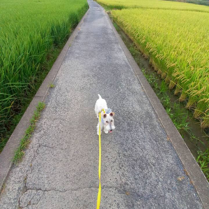 De0a6ad0 dc63 40b1 b263 cb01b7201bc8 1630241304197