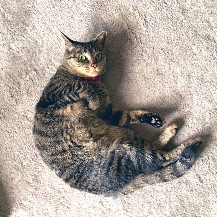 De0a8c35 d416 4197 a8c6 ff46a798d1ab 1555805351187