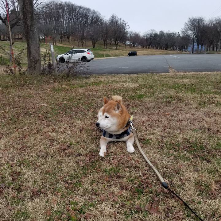 De0a975c ca6f 4784 9f57 08a4009704aa 1671252254414