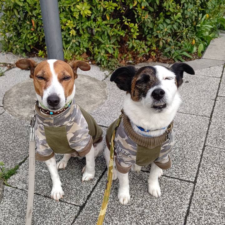 De0aa8e8 05d2 4cc1 aa8c 6478b5174164 1679871320995