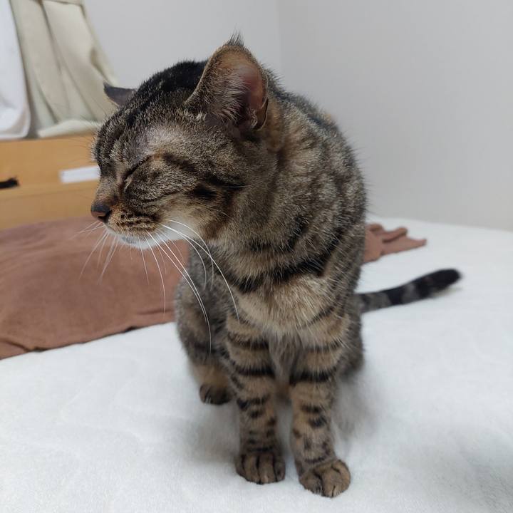 De0ab9ce 56d6 458d 961f 0ebdc4a09efa 1650922809952