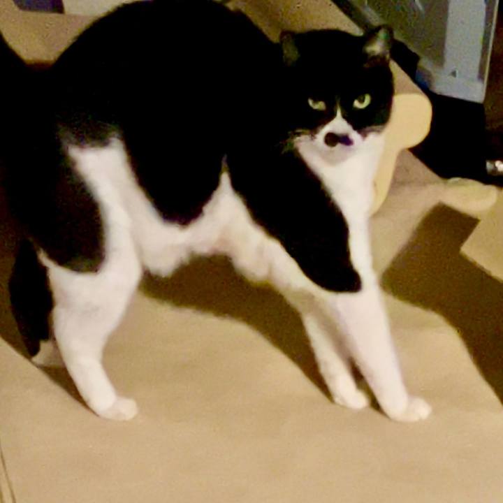 De0ac439 bcee 4380 84b0 3e4cdf096409 1703118767707