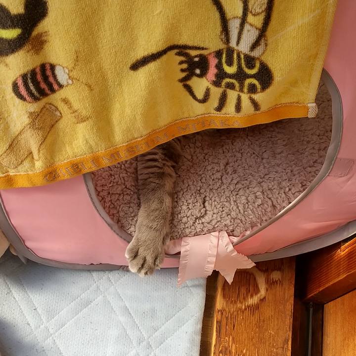 De0ac48d 70fe 4d89 abf8 6682426e9f36 1613958109508