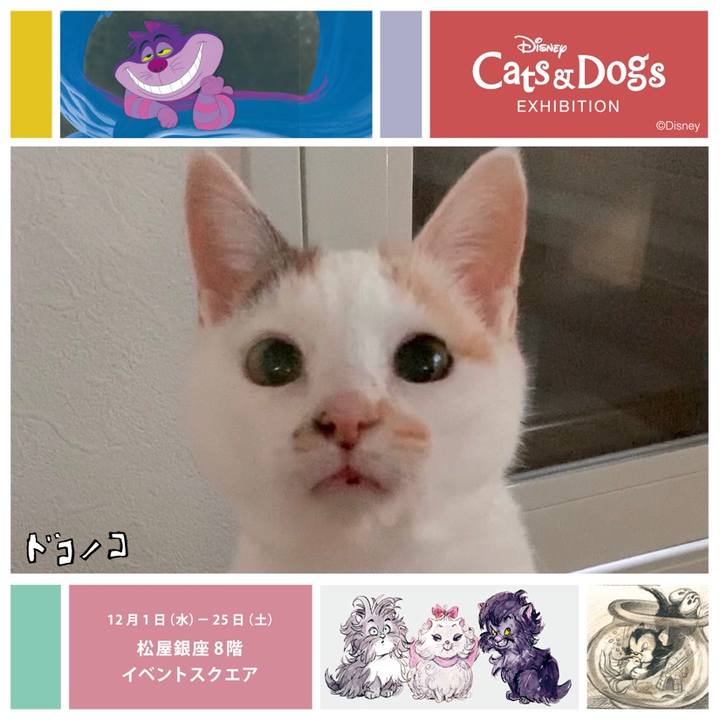 De0ae66a ce2e 4740 9f32 fca6b8362532 1639384829307