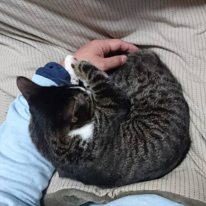 De0af5e5 d638 4a5c 897d f679bd423446 1511953075089