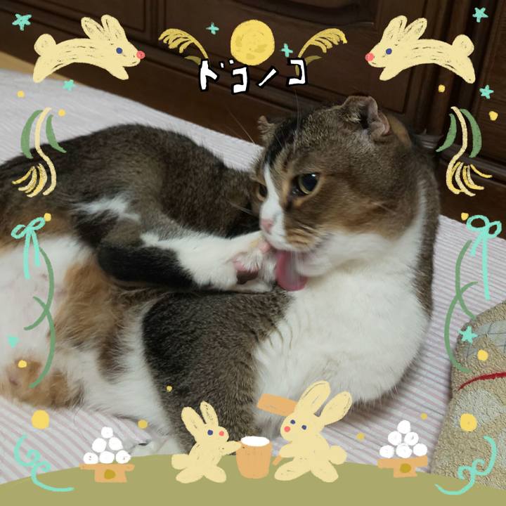 De0b1119 ead8 41f7 b815 7487fd5db287 1726983088023