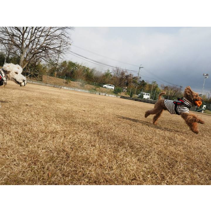 De0b524f 080a 4144 9d20 bae431c4b7f5 1513676416976