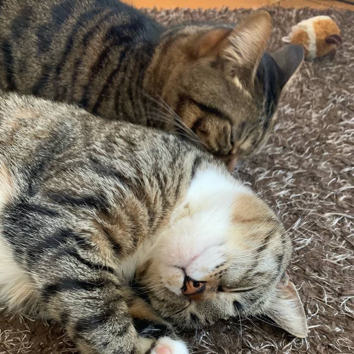 De0b5a08 0761 464b 866d 841766ae7b3a 1580086207423