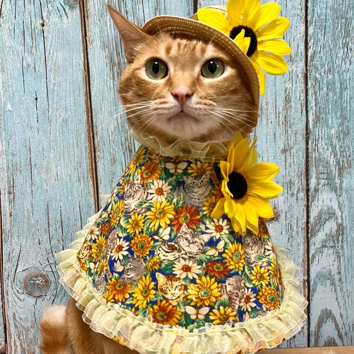 De0bac07 ba13 4fe6 bfb7 9f3a1dc301cb 1718184871192