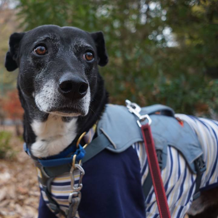 De0bbd79 6c31 472e bca0 f7dc4a8f2038 1765420443847