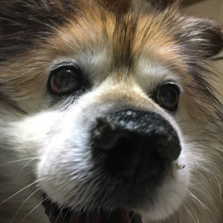 De0bd85b 4567 4af6 a4f9 80151c668e95 1564930399114