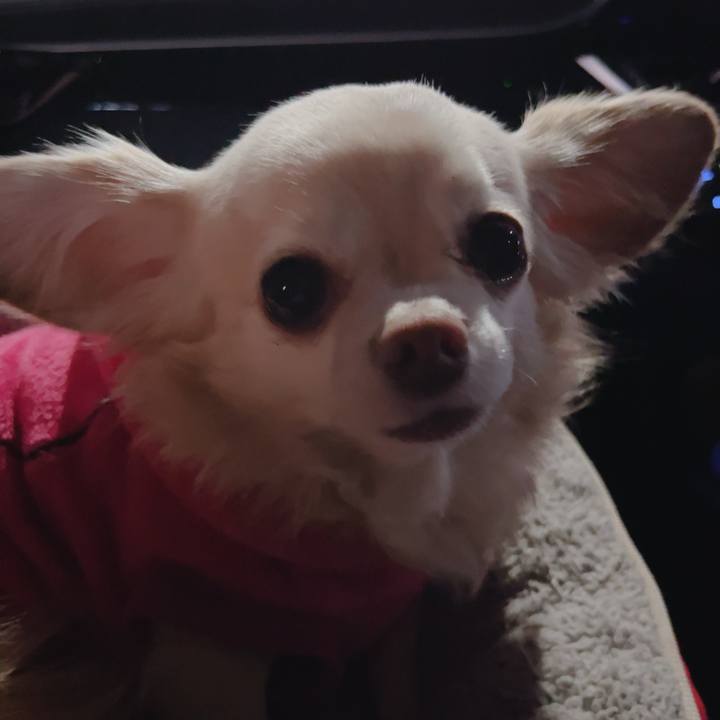 De0be848 f465 413a afb0 1864eddd8345 1765013974020