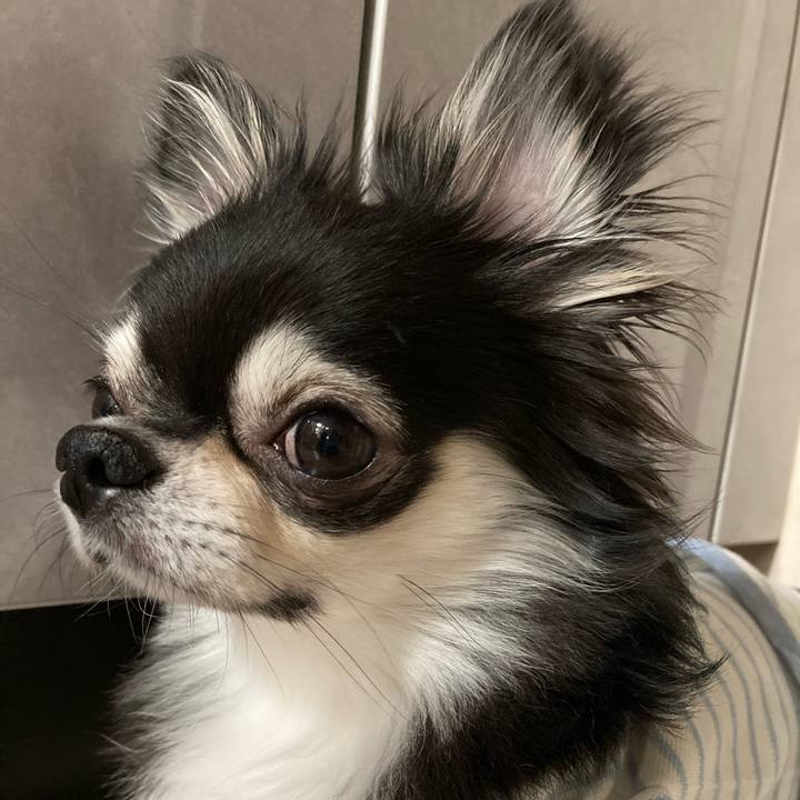 De0c564f 98bc 4417 a7f0 710a8f03d3c4 1651670171844