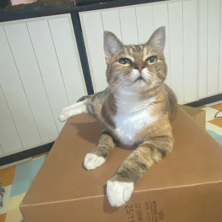 De0c81ca 1890 430c a093 ab4248b0447c 1723713611663