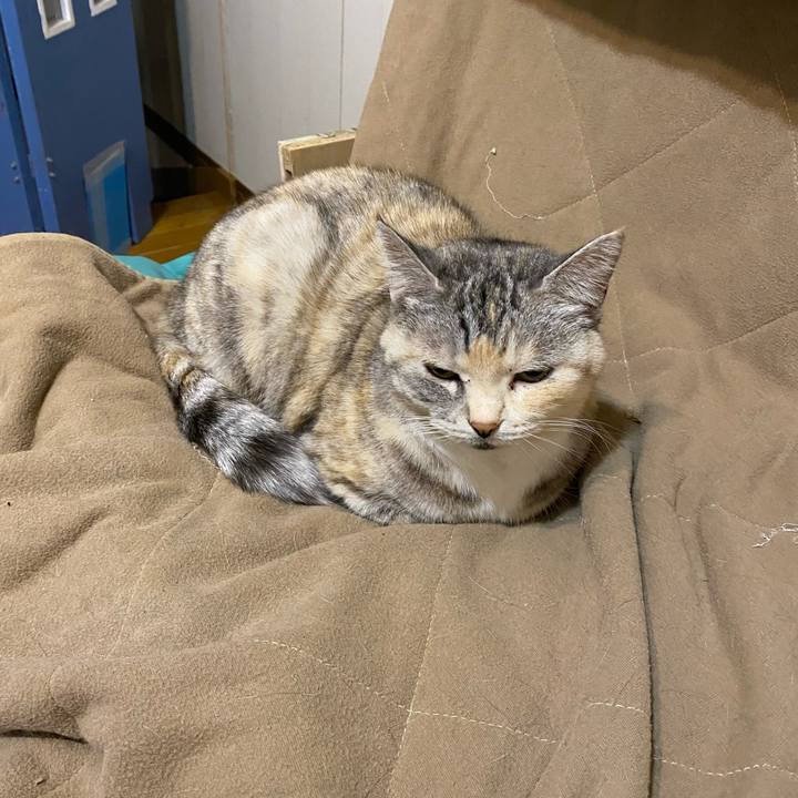 De0c8c9d 1571 4344 bcc9 d91b2b15ef41 1646237354418