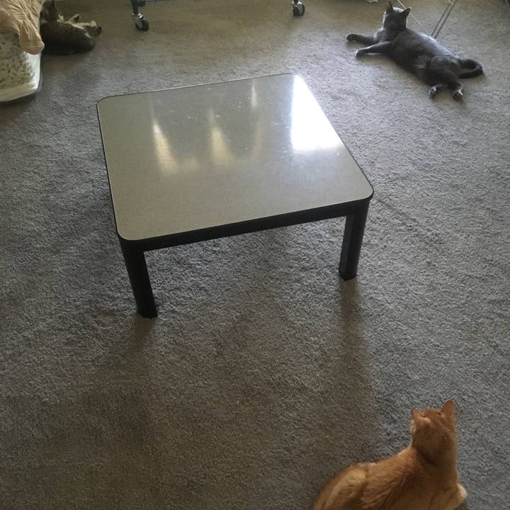 De0cc93b 5368 4d9d 91f5 91b5dc395a65 1658534304651