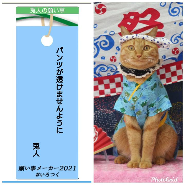 De0cd01c 4f87 49f6 a0c1 901c56083f5e 1625660272797