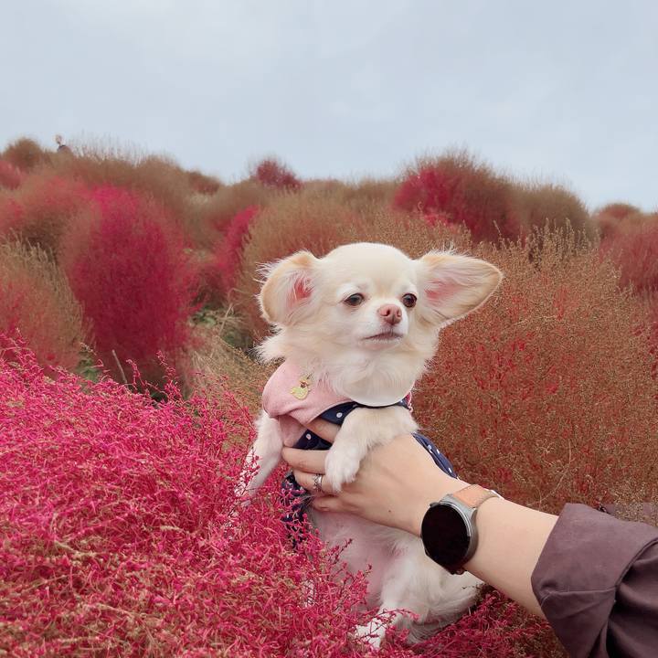 De0ce72c 36ec 4271 a5c1 6805981517d2 1729950168599